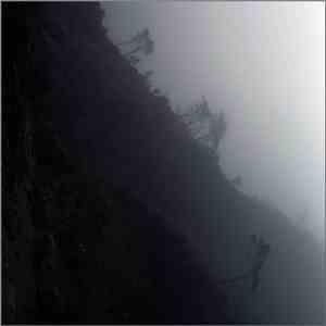 Phexioenesystems - Neglect, Complete But Not Conscious