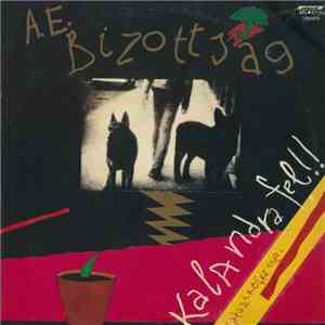 A.E. Bizottság - Kalandra Fel!!
