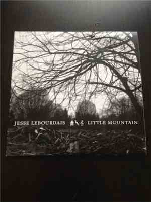 Jesse LeBourdais - Little Mountain