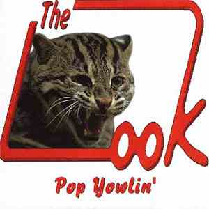 The Look  - Pop Yowlin'