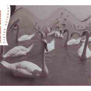 Zoltán Lantos' Mirrorworld - Tiptoe Ceremony