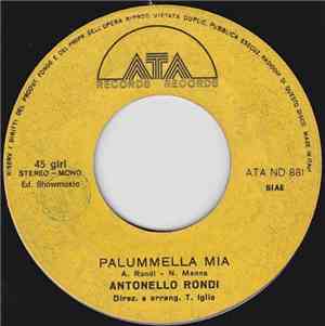 Antonello Rondi - Palummella Mia