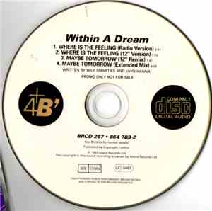 Within A Dream - Where Is The Feeling
