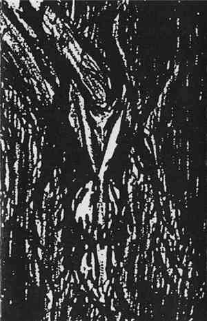 Vlad Tepes - Morte Lune