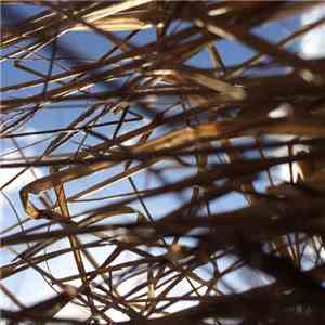 Gallery Six / Stabilo - Drafty