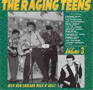 Various - The Raging Teens Volume 3
