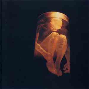 Alice In Chains - Nothing Safe