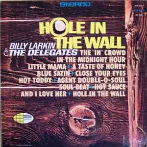 Billy Larkin & The Delegates - Hole In The Wall