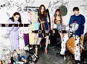 F(x) - 4 Walls / Cowboy