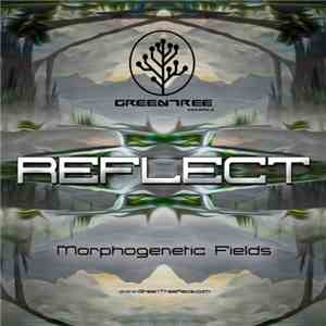 Morphogenetic Fields - Reflect