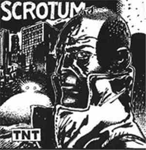 Scrotum  - TNT