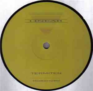 Termiten - Nordhorn