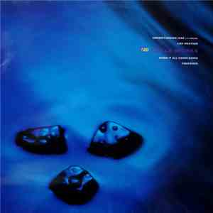 The Icicle Works - Understanding Jane