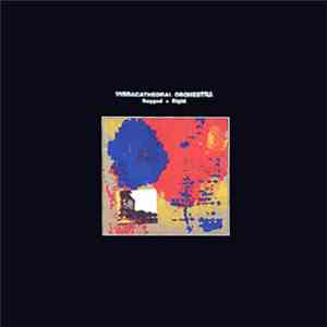 Vibracathedral Orchestra - Ragged + Right
