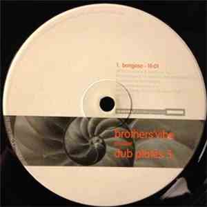 Brothers' Vibe - Dub Plates 5