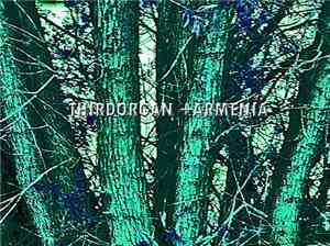 Thirdorgan + Armenia - Split + Collaboration