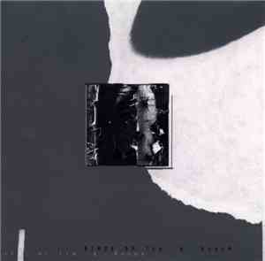 Birds Of Tin & Augur - Birds Of Tin & Augur