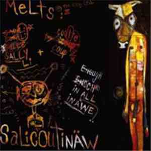 Melts - Salicountinäw
