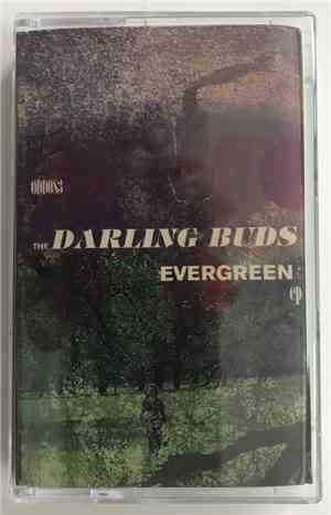 The Darling Buds - Evergreen
