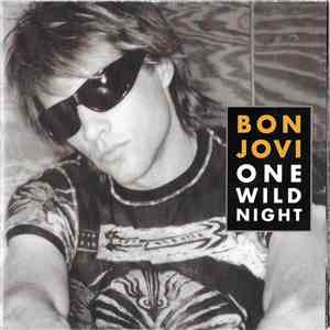 Bon Jovi - One Wild Night