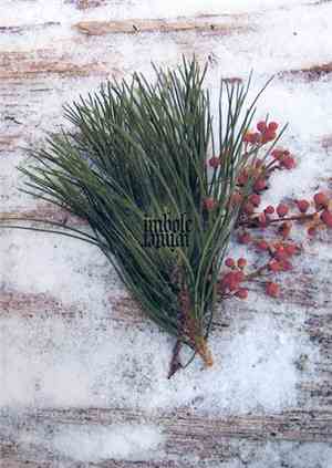 Forgotten Land - Imbolc - Winter