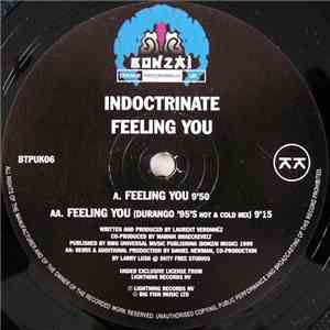 Indoctrinate - Feeling You