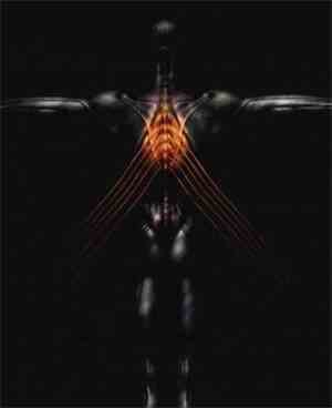 Tool  - Salival