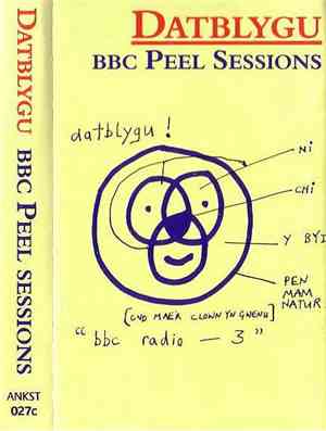Datblygu - BBC Peel Sessions