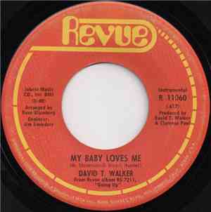 David T. Walker - My Baby Loves Me