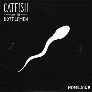 Catfish And The Bottlemen - Homesick