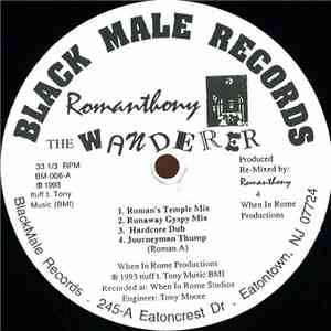 Romanthony - The Wanderer