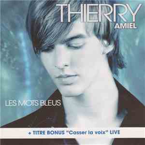 Thierry Amiel - Les Mots Bleus