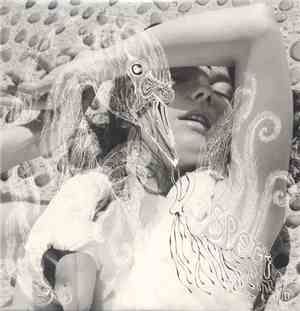 Björk - Un Titre De L'Album Vespertine (An Echo, A Stain)