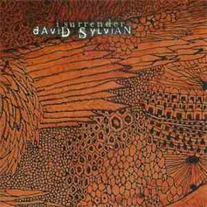 David Sylvian - I Surrender