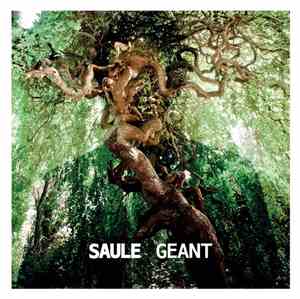 Saule  - Géant
