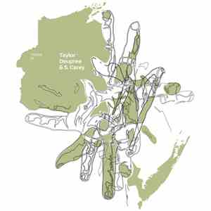 Taylor Deupree & S. Carey  - Thesis 01