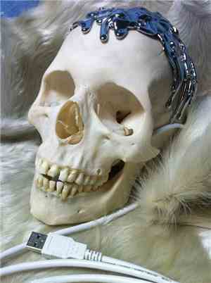 The Flaming Lips - 24 Hour Song Skull
