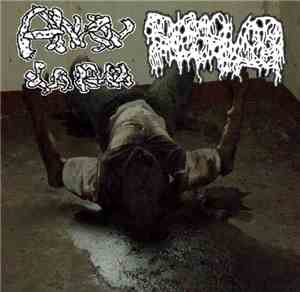 Anal Larva, Dissolved  - Split