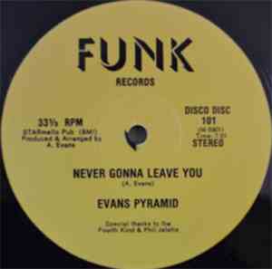 Evans Pyramid -  Never Gonna Leave You / The Dip Drop