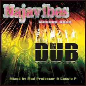 Najavibes - Musical Road In Dub