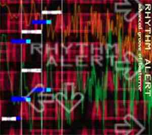 Various - Rhythm Alert -Advanced Groove Of Beaterror-