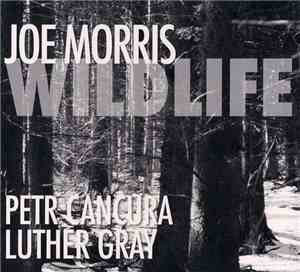 Joe Morris - Wildlife