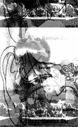 The Catastrophic Trio / Aural Resuscitation Unit - Ear Canal Corrosion