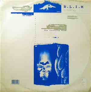 B.L.I.M - The Counting Room EP