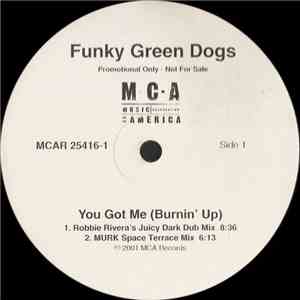 Funky Green Dogs - You Got Me (Burnin' Up)