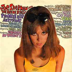 Joe Sherman & The Arena Brass - Promise Her Anything