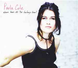 Paula Cole - Where Have All The Cowboys Gone?