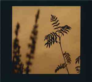 Thorsten Scheerer - Piano Pieces