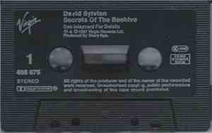 David Sylvian - Secrets Of The Beehive