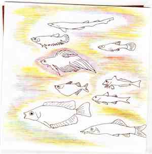 Padna - There Are So Many Fish In Heaven, Pt. IV